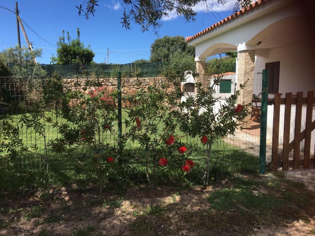 Azienda Multifunzionale S'Ozastro Santa Marinella Exterior photo